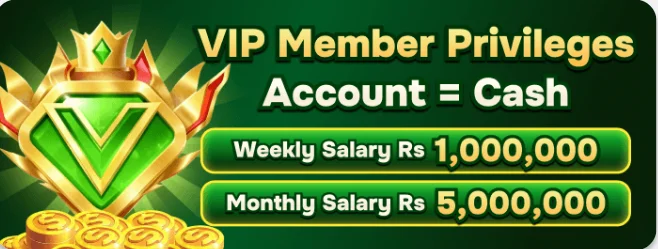 RS663 Game